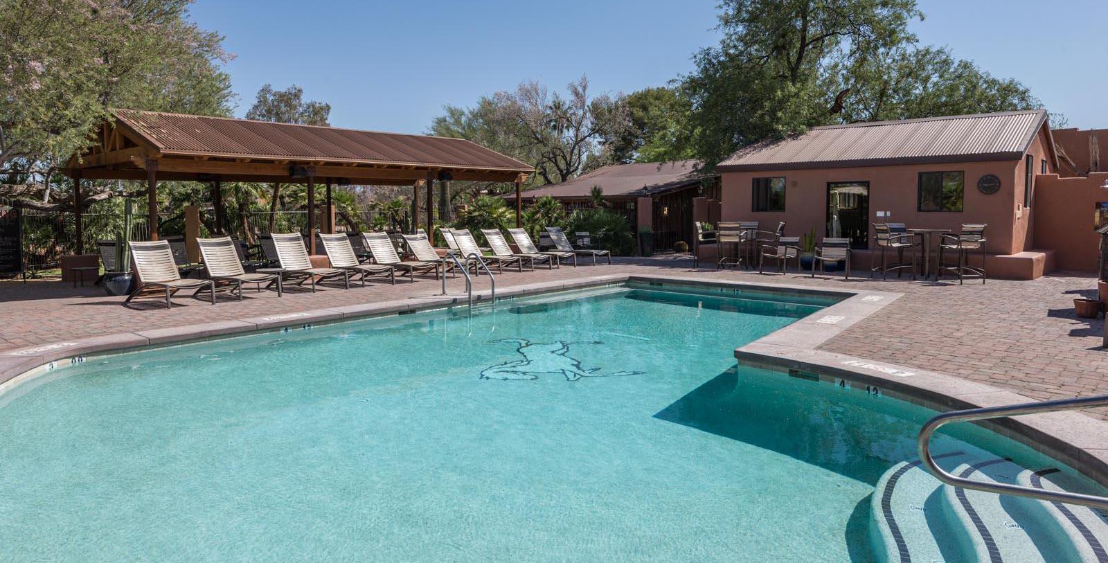 Experience the Reid Park Zoo.